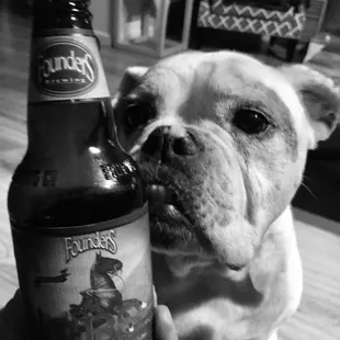 Covid-19 or not You will always find great selection here to bring home