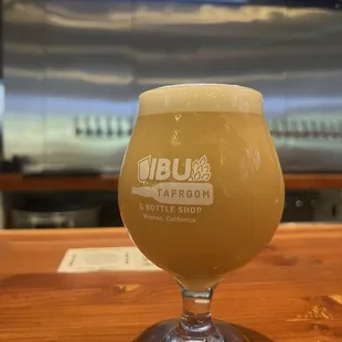 Shred DDH Citra Street IPA