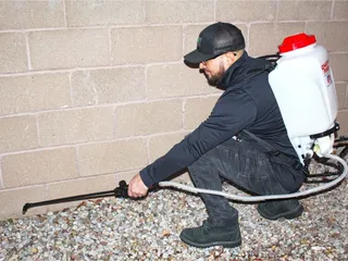 Organic Pest Control NM