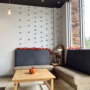 two couches and a coffee table