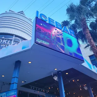 neon sign and palm trees in the background