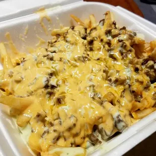 Bulgogi Fries