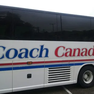 Our neighbors to the north rolled in. They're fierce skaters/competitors.