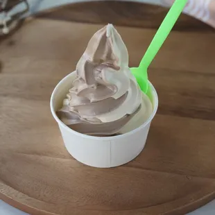 Chocolate &amp; Vanilla Frozen Yogurt