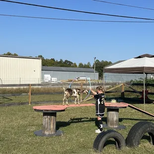 On the weekends they sometimes have a free small petting zoo! Check out their Facebook page