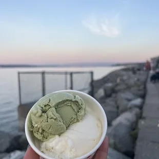 Matcha coconut and rose double scoop ($8)  IG: @ohmyono