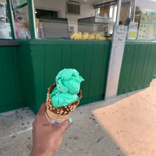 Mint Chocolate Chip on a waffle cone