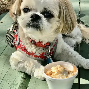 Strawberry Cheesecake Ice cream with toasted coconut!