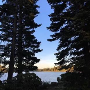 Good morning sunshine