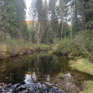 Beautiful place, great food.