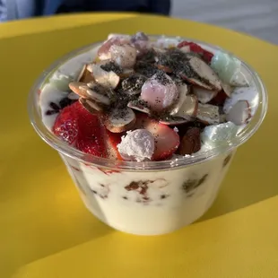 Yogurt Ice Rice. Yum!