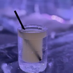 ICEBAR Orlando