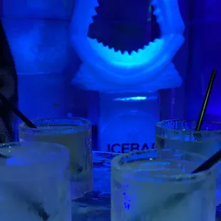 Ice bar drinks