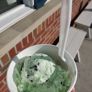 Mint Chocolate Chip