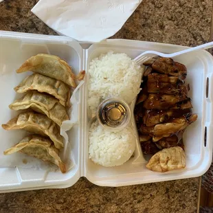 Chicken Teriyaki + Gyoza combo