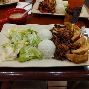 Chicken, pork, and gyoza.