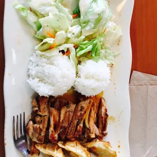 L3 teriyaki chicken, rice, salad &amp; gyoza.