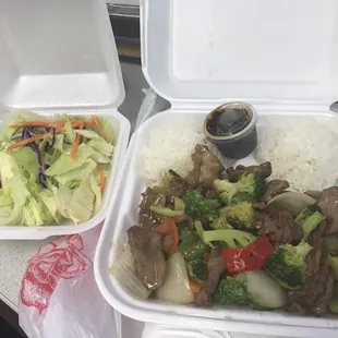 H5-beef and broccoli