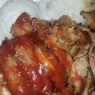 Chicken Katsu and Chicken Teriyaki!!