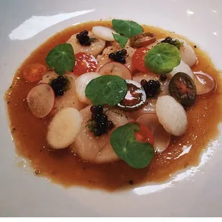 Hotate Crudo