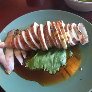 Squid
