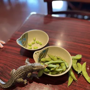 The alligator is eating our edamame ha ha ha  I like to come here alone and get a big shashimi boat or like today- with my son!