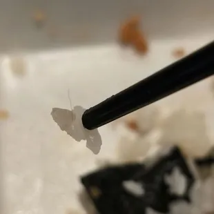 Hair found in multiple rolls.