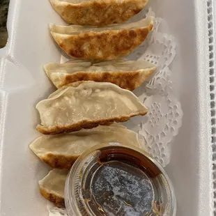 Gyoza with the perfect pan fry and savory sauce