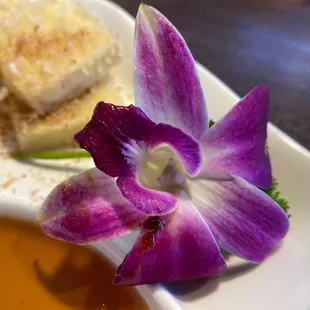Tofu