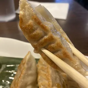 Crispy tasty gyoza