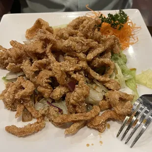 Crispy Chicken with Honey Garlic Sauce