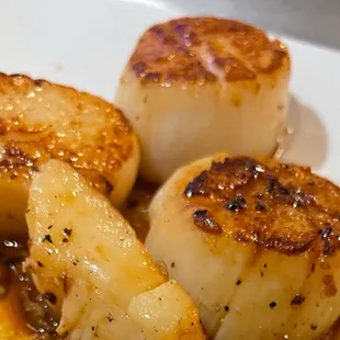 Scallops