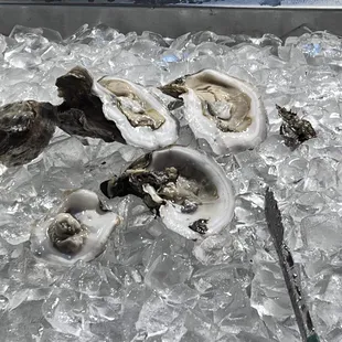 Only 4 oysters.  They tasted funny and old like they&apos;ve been out there for hours.  Someone should inspect.