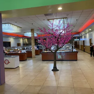 Food area
