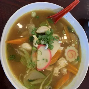 Curry Chicken Udon Noodle Soup