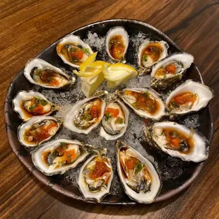 Fresh oyster in half shell
