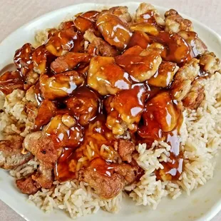 Teriyaki Chicken over Fried Rice (No Veg)