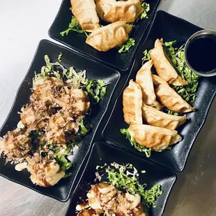 Fried Gyoza and Takoyaki