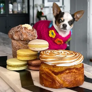 Lemon meringue croissant, macarons, cruffin