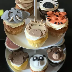 14 zoo themed cupcakes