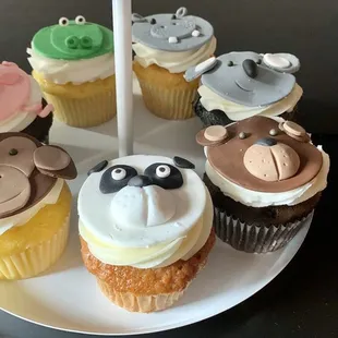 Zoo themed cupcakes