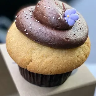 04.05.23 Vanilla Chocolate