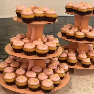 Mini Cupcakes - So tasty and adorable!