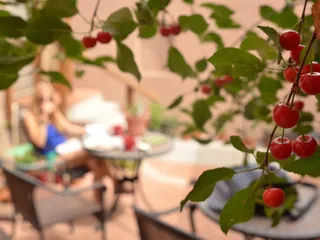 Cafe Aldea