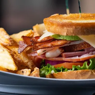 a sandwich and fries