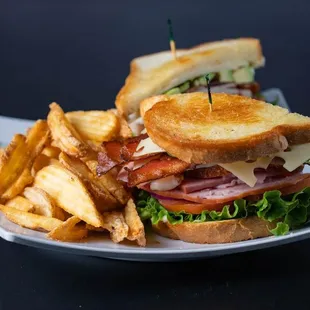 a sandwich and fries