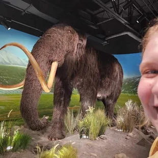 Woolly Mammoth