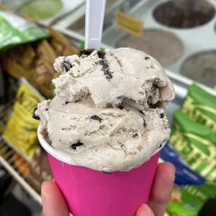 small scoop of mitchell&apos;s ice cream (grasshopper flavor) - only $2.50 and they give you a ton!