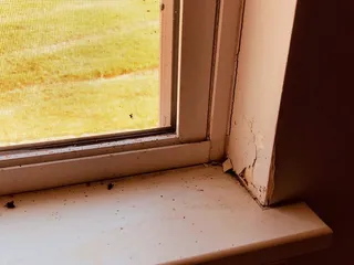 Sterling Property Management