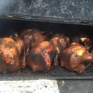 Thanksgiving turkeys